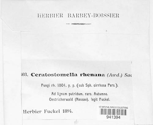 Ceratosphaeria image